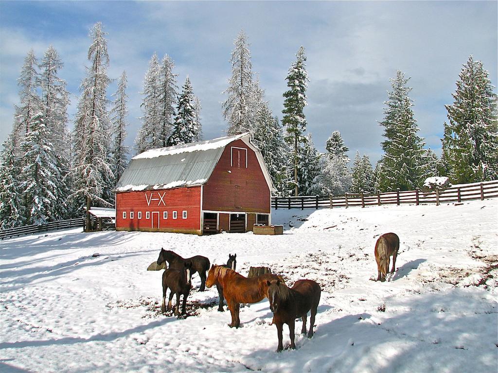 Western Pleasure Guest Ranch Sandpoint Exterior photo