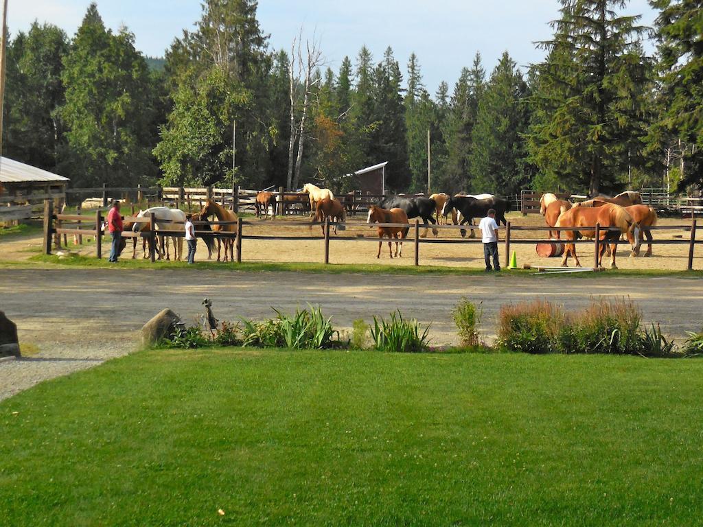 Western Pleasure Guest Ranch Sandpoint Exterior photo